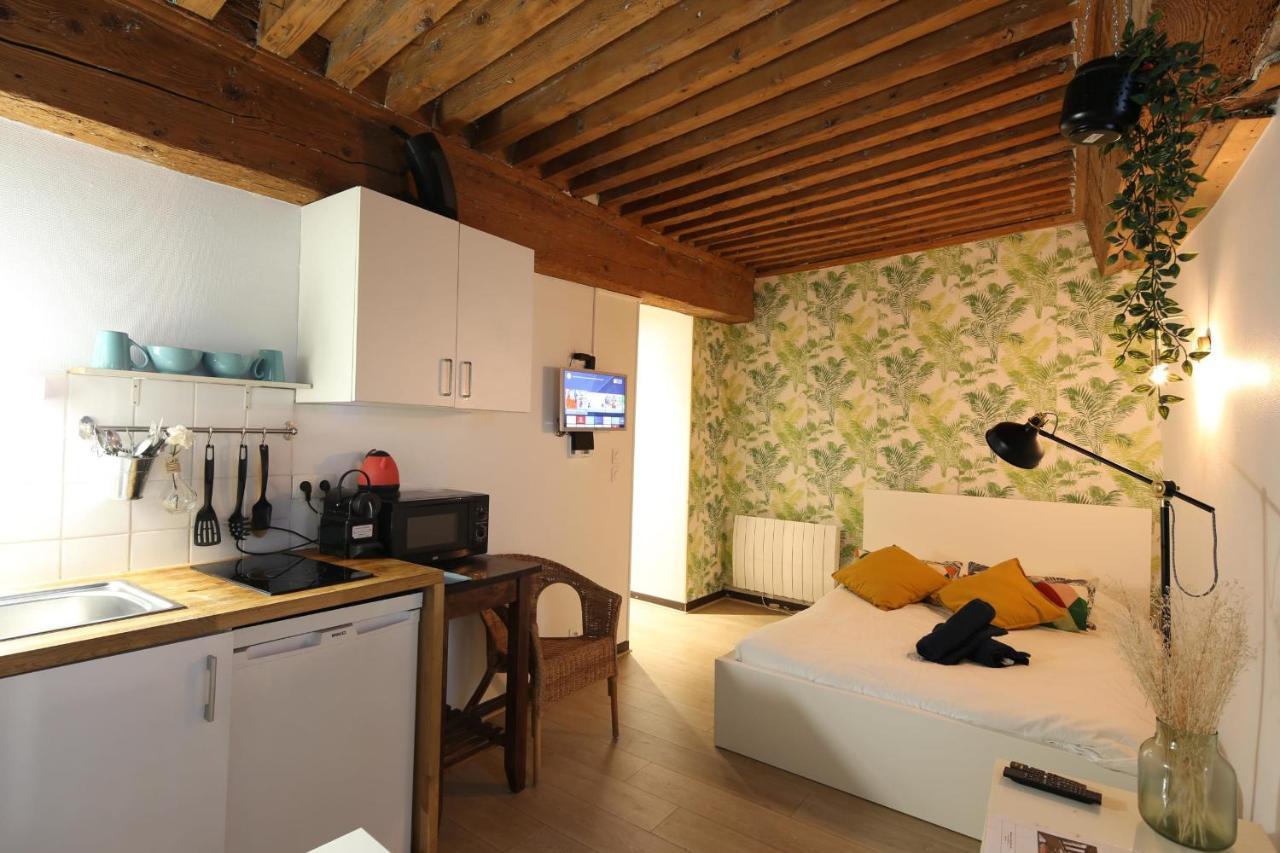 Charming studio CENTRE-VILLE de Lione Esterno foto